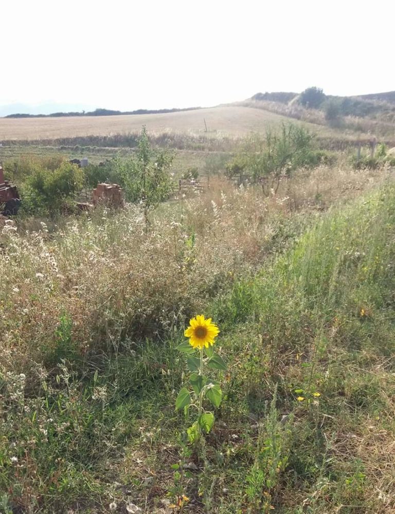 A volte vinci. Tante altre impari